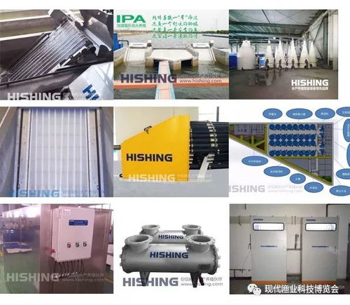 智能科技引領(lǐng)漁業(yè)新篇章 無人艇、增氧機(jī)、循環(huán)水與自動喂料設(shè)備亮相現(xiàn)代漁業(yè)科技博覽會